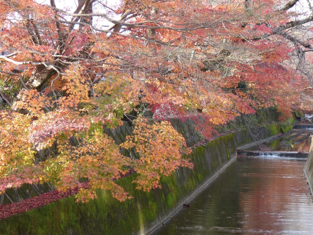 Saizen Matsumuro Stay Kyoto Dış mekan fotoğraf