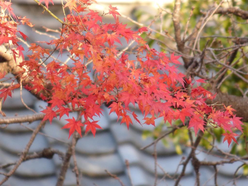 Saizen Matsumuro Stay Kyoto Dış mekan fotoğraf