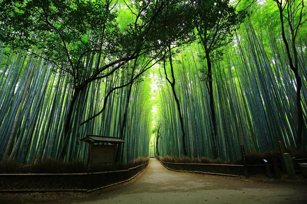 Saizen Matsumuro Stay Kyoto Dış mekan fotoğraf