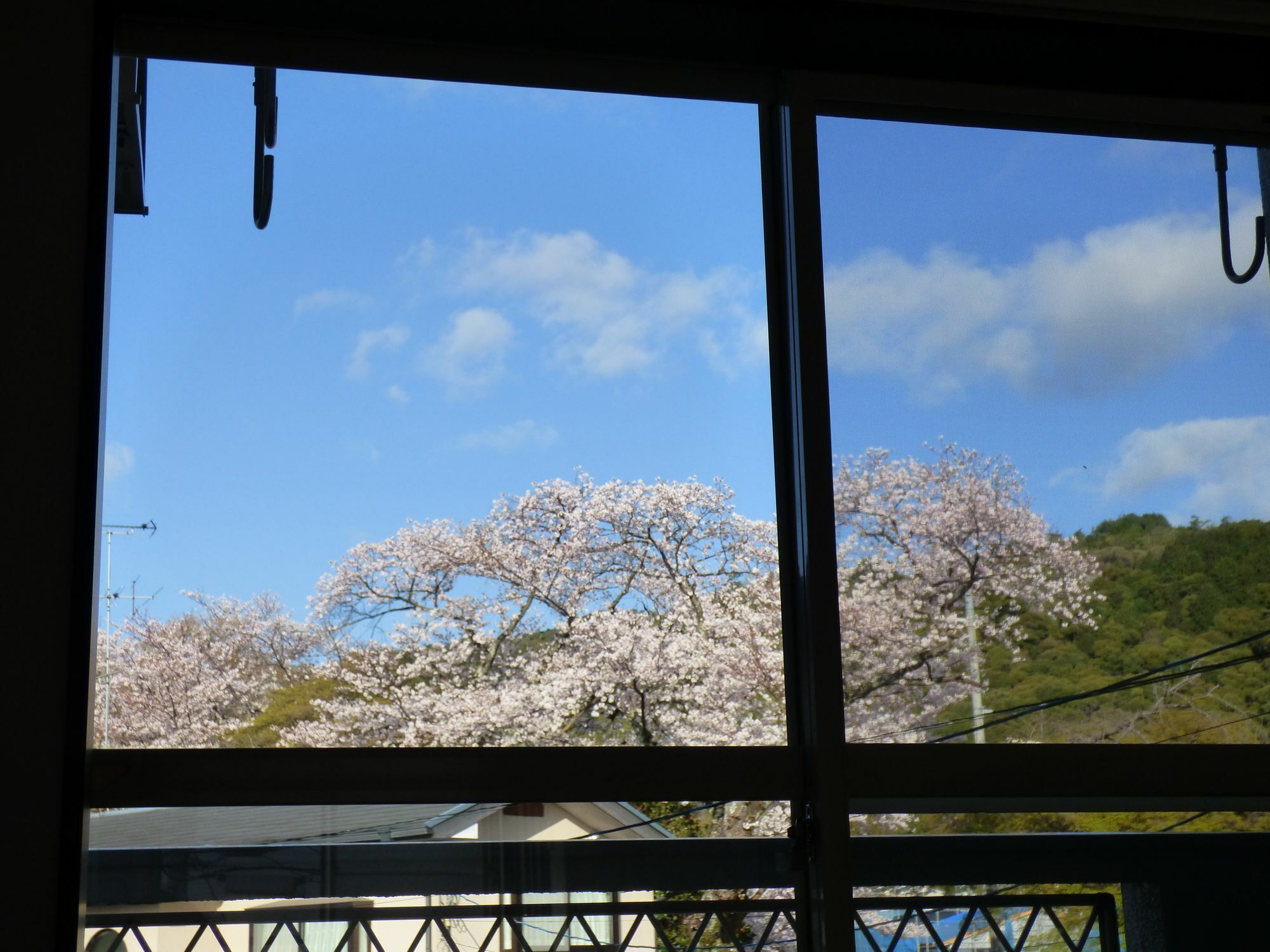 Saizen Matsumuro Stay Kyoto Dış mekan fotoğraf