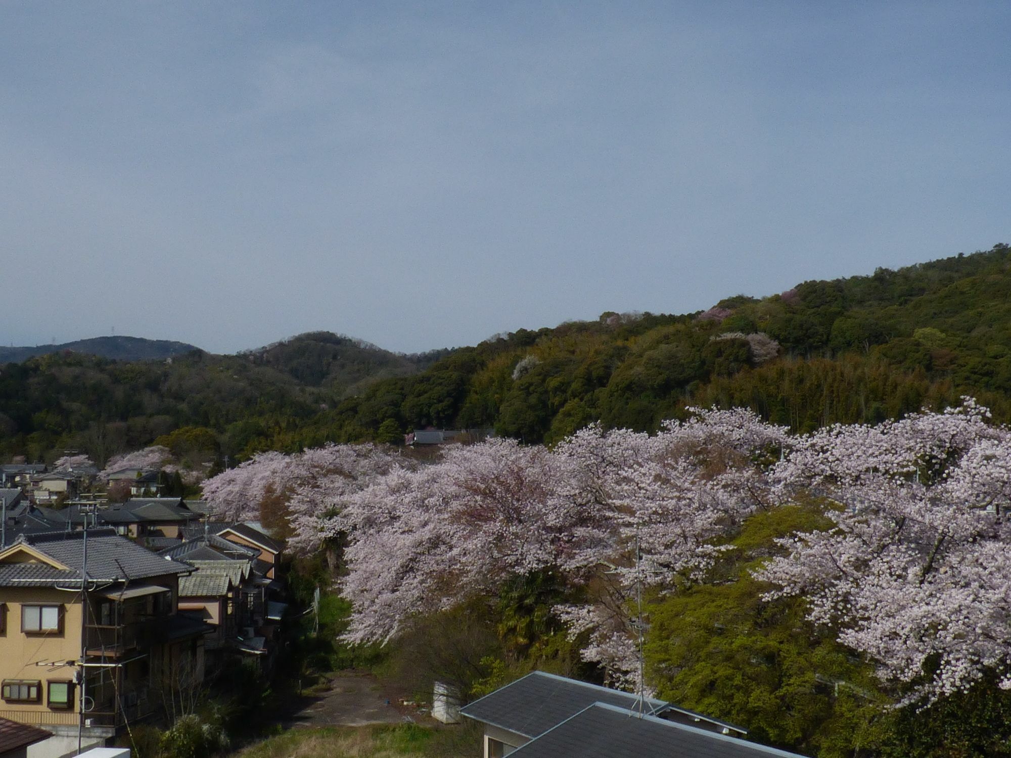 Saizen Matsumuro Stay Kyoto Dış mekan fotoğraf